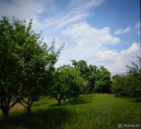 Predám rodinný dom v obci Lucnica nad Žitavou/Nitra - 10