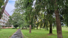 3 IZBOVÝ BYT BALKÓN a LOGGIA 59m2+ZNAL. POSUDOK - VOĽNÝ - 10