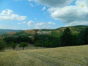 HALO reality - Predaj, pozemok   6881 m2 Krupina, iba 4€/m2  - 10