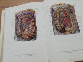 Atlas anatómie človeka 3 časti - 10