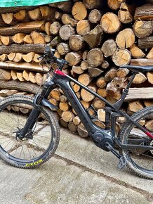 Trek Powerfly LT 9.7 Plus - 10