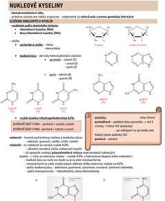 Maturita fyzika chémia biológia + prijímačky medicína - 10