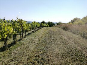 Mulčovanie a čistenie pozemkov - 10