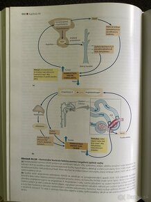 Campbell Biologia - 10