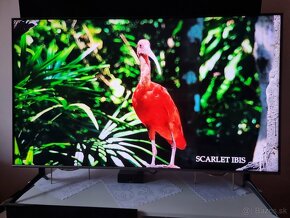 Predám SMART QLED Samsung QE50Q67TAU 4K UHD Wi-Fi s vadou - 10