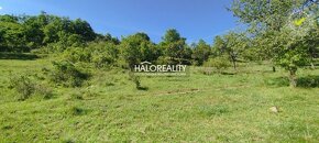 HALO reality - Predaj, rekreačný pozemok Krupina, iba 7 €/m2 - 10