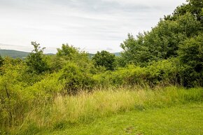 ● Cenová Bomba ● Pozemok 4870m2 so súkromím, Jabloňovce. - 10