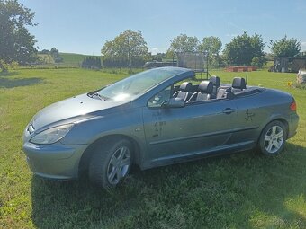 Peugeot 307 CC - 10