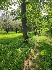 Usadlosť- starý roľnícky dvor na pozemku 2781 m2. - 10