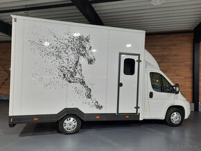 Fiat Ducato - prepravník na kone, prepravník koní - 10