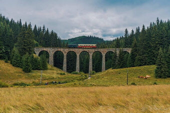 Krásny byt priamo pod lyžiarskym svahom v Telgárte - 10