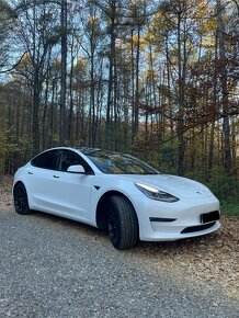 Tesla Model 3 Long Range Dual Motor AWD 4x4 - 10