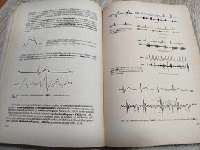 Fyziológia živočíchov a človeka--1980-- Paulov Štefan--počet - 10