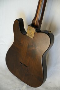 Elektrická gitara - BPB Telecaster Thinline - 10