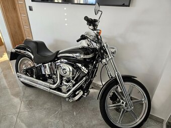 HARLAY DAVIDSON softail 100th - 10