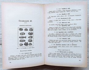 Kuchařská kniha domácnosti, rok 1921, velmi zachovalá - 10