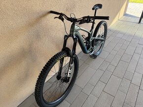 Trek Fuel EX - L - 10