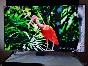 Predám SMART QLED Samsung QE50Q67TAU 4K UHD Wi-Fi s vadou - 10