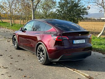 Tesla Model Y 75kWh Performance AWD - 10