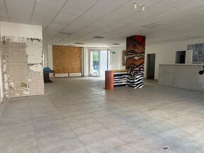 Na prenájom obchodný priestor 220m2 -Voľný ihned - 10