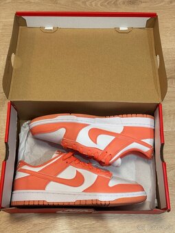 Nike Dunk low / mango 44 - 10