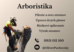 Arboristika, Spilovanie, Opilovanie, Výrub stromov - 10