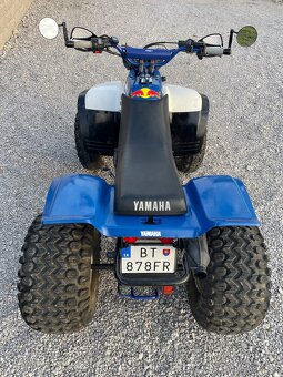 Yamaha Warrior 350 - 10