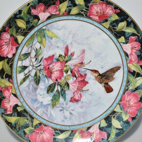 Royal Doulton Anglické porcelánové taniere - Kolibríky - 10