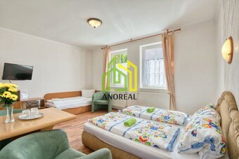 EXKLUZÍVNE Na predaj RODINNÁ VILA, 900 m2, Rajecké Teplice - 10