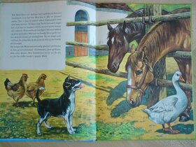 Detské knihy v dánčine ( nórčine ) : x - 10