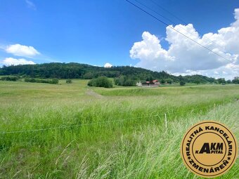 Pozemok na predaj, 13 237 m2  Slatinské Lazy, okres Detva - 10