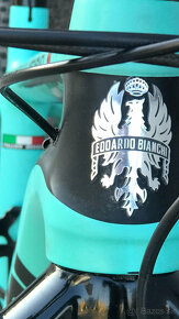 Bianchi Methanol CV 9.5 - 10