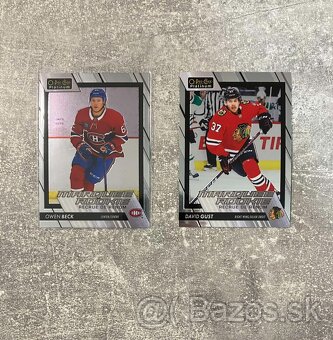 NHL Hokejové kartičky OPC Platinum Marquee Rookies - 10