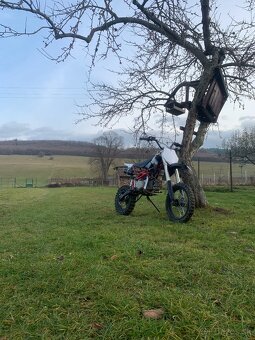 Predam Pitbike 140 stomp - 10