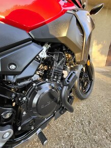 Suzuki Vstrom DL 250 - 10