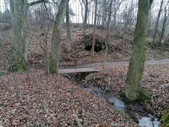 STAVEBNÝ POZEMOK PRI POTOKU 1963 m2 BRESTOVEC okres MYJAVA - 10