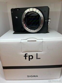 Sigma fp L - 61 mpix. smallest FF mirrorless - 11