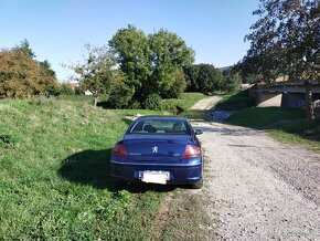 Peugeot 407 - 11