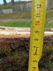 Orechove forsne , na doplnění epoxidovou živicou - 11