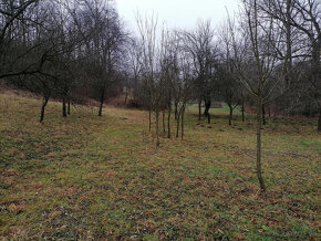 STAVEBNÝ POZEMOK PRI POTOKU 1963 m2 BRESTOVEC okres MYJAVA - 11