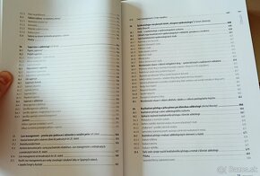 Klinická adiktologie (Kamil Kalina a kolektiv) - 11