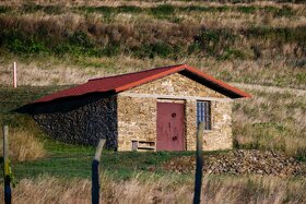 Na predaj jedinečné Tokajské vinice aj s celou firmou - 11