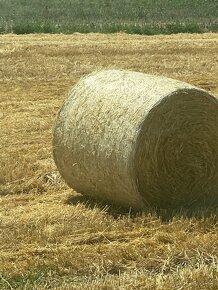 Lucerka a slama na predaj - 11