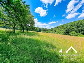 Veľkorysý, 2,5 ha pozemok v Krupine - časť Kopanice - 11