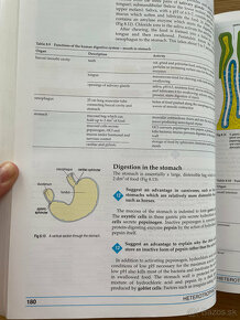 Matematika a Biológia - 11