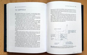 Jak postavit monopost F1 Adrian Newey - 11