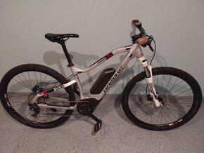 Ebike - 11