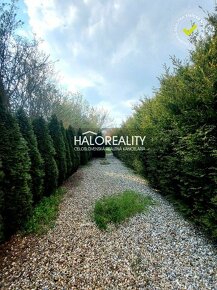 HALO reality - REZERVOVANÉ - Predaj, rodinný dom Orešany, s  - 11