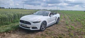 Ford mustang  cabrio - 11