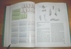 Abeceda rybára – Od začiatočníka k majstrovi - 11